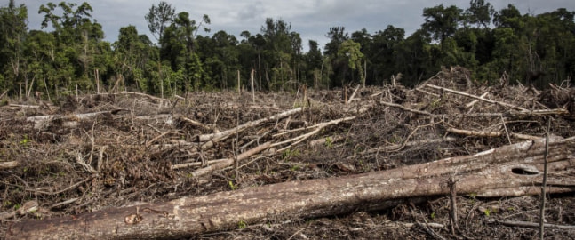 Deforestation & Climate Change